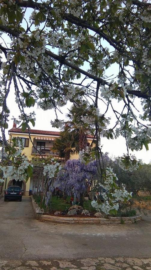 App Carla Apartment Novigrad  Exterior photo